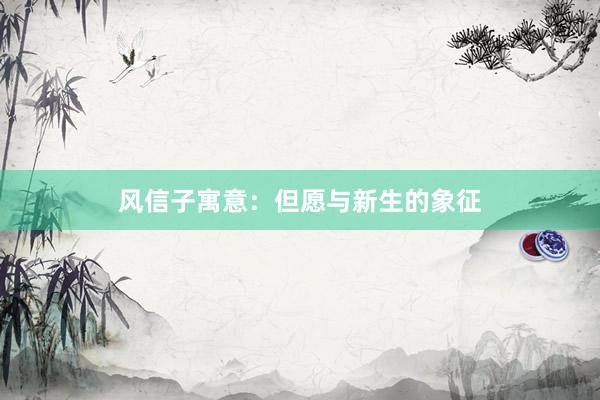 风信子寓意：但愿与新生的象征