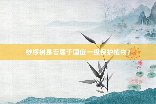桫椤树是否属于国度一级保护植物？